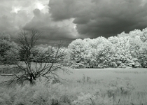 DSCN2590 copy  Storm Clouds #1 : NJ, Landscapes, Infrared, 2-Stars